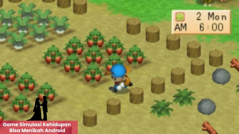 3-Game-Simulasi-Kehidupan-Harvest-Moon.jpg