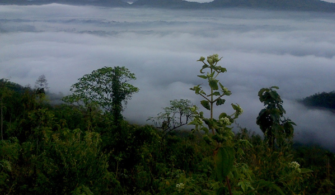 bukit banyon.jpg