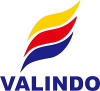 logo valindo 3.png