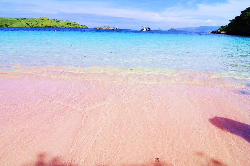 pink_beach_3.jpg