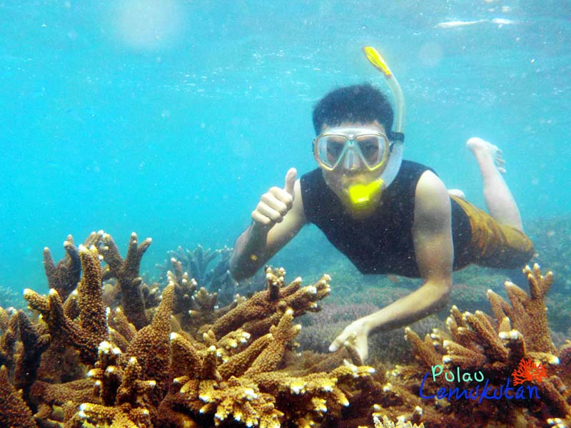 pulau lemukutan snorkeling.jpg