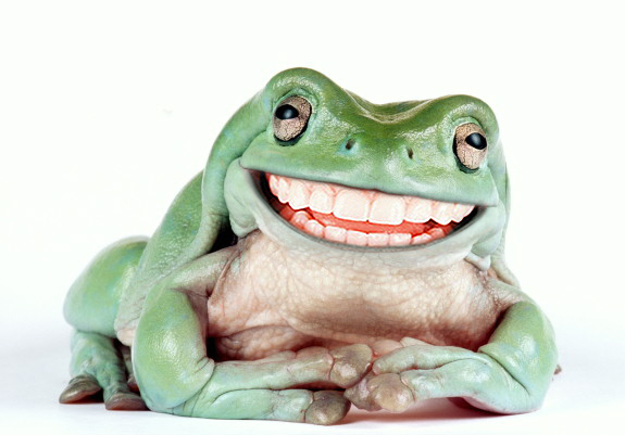 smilefrog5ge.jpg