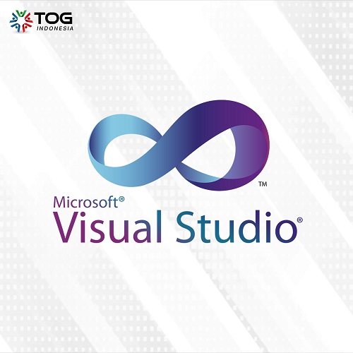 visual studio500.jpg